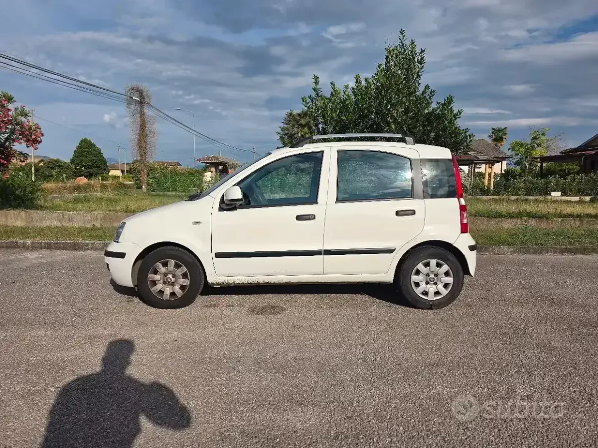 Usata Fiat Panda Dynamic 60 CV (44 kW) 2010 Bianco Utilitaria