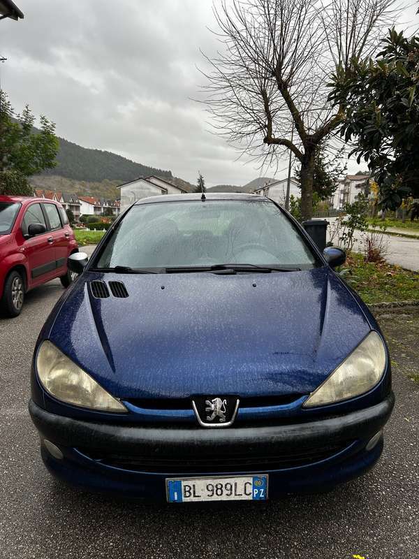 Usato 2000 Peugeot 206 2.0 Diesel 90 CV (1.000 €)