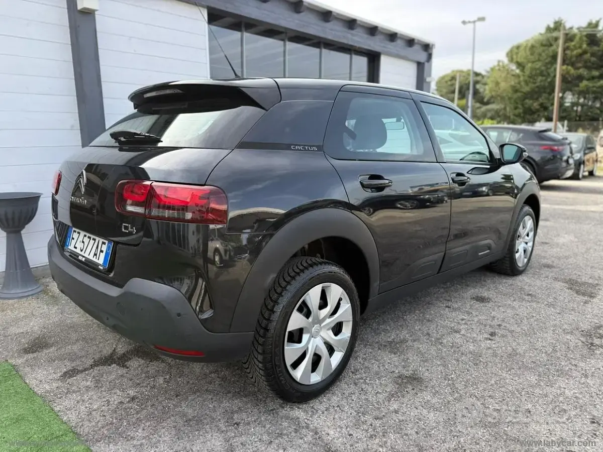 Usata Citroën C4 Cactus Feel 102 CV (75 kW) 2019 Utilitaria