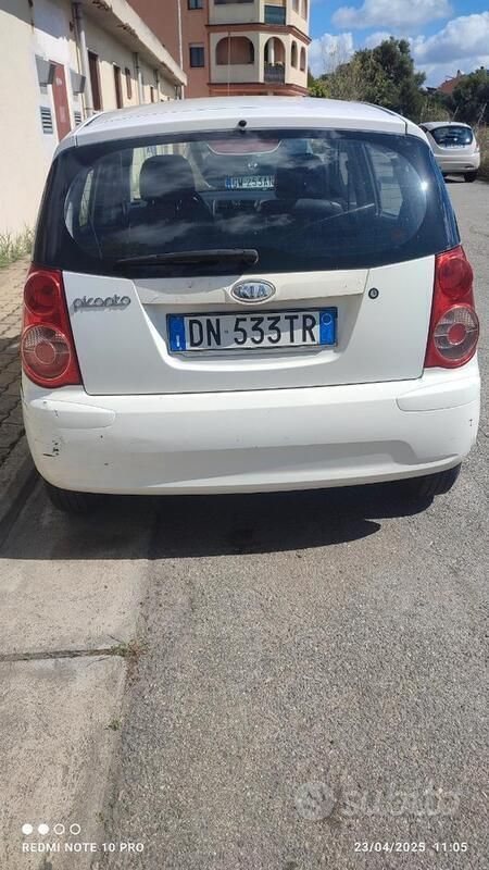 Usata Kia Picanto 61 CV (44 kW) 2008 Bianco Utilitaria