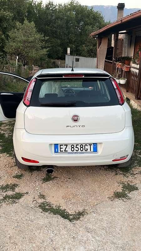 Usata Fiat Punto Lounge 75 CV (55 kW) 2015 Bianco Berlina