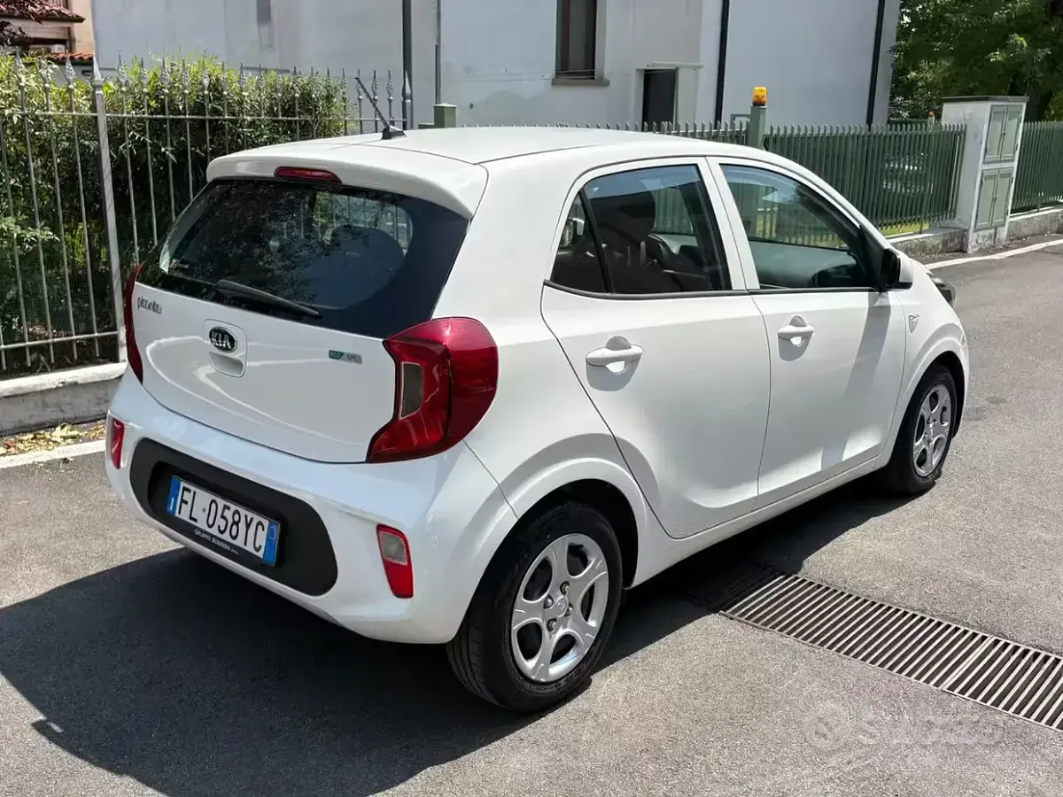 Usata Kia Picanto 67 CV (49 kW) 2017 Bianco Utilitaria