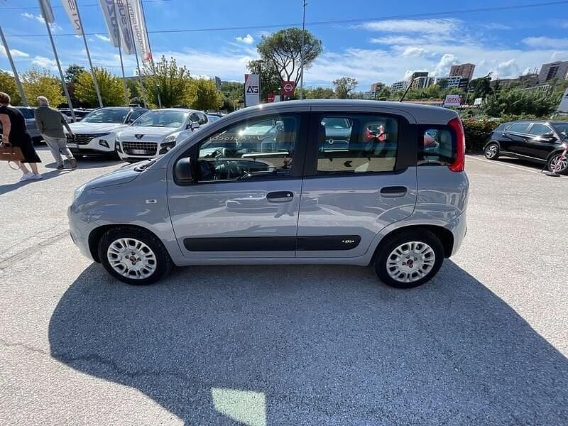 Usata Fiat Panda Easy 70 CV (51 kW) 2020 Grigio Utilitaria
