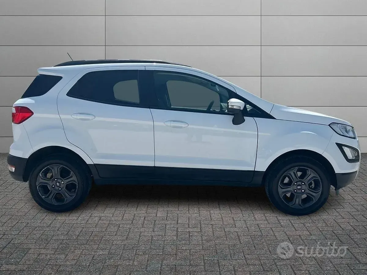 Usata Ford Ecosport Business Edition 125 CV (91 kW) 2018 Bianco SUV