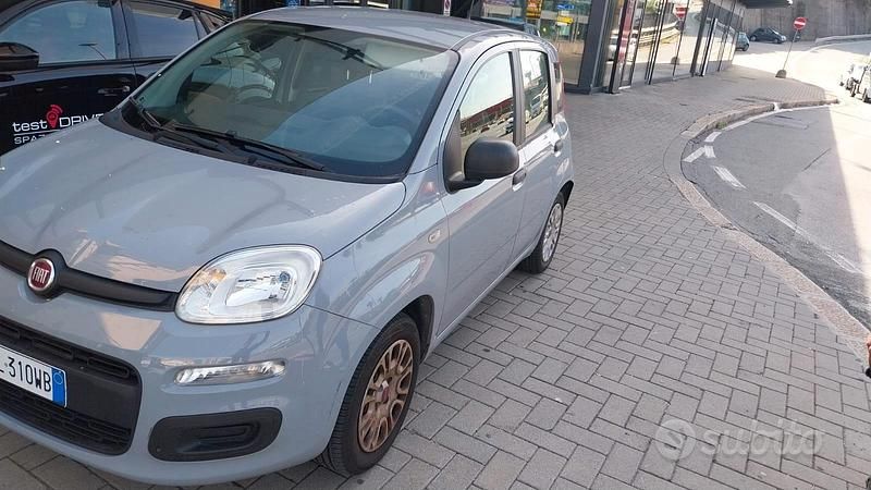 Usata Fiat Panda Easy 69 CV (50 kW) 2017 Grigio Utilitaria