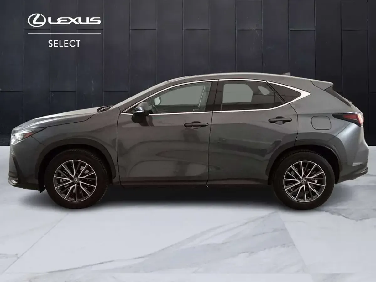 Usata Lexus NX450h+ 185 CV (136 kW) 2023 Grigio SUV