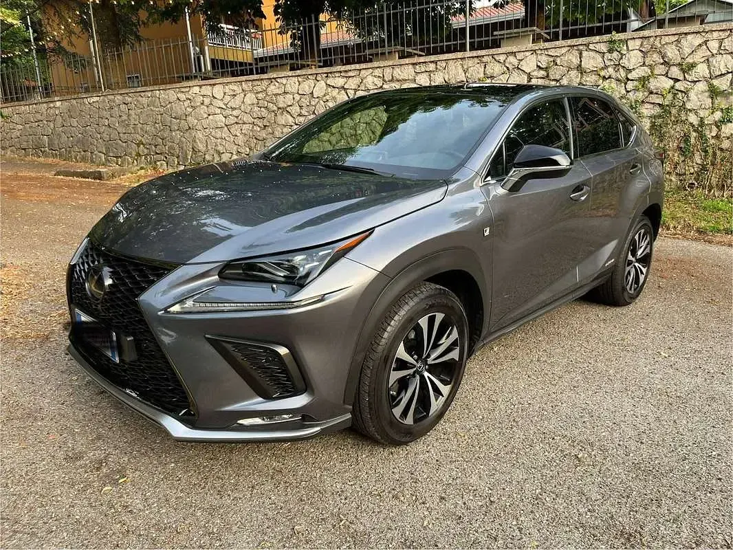 Usata Lexus NX300h Sport Line 155 CV (114 kW) 2019 Grigio SUV