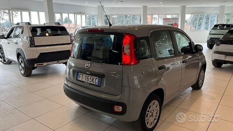 Usata Fiat Panda Easy 69 CV (50 kW) 2018 Grigio Utilitaria