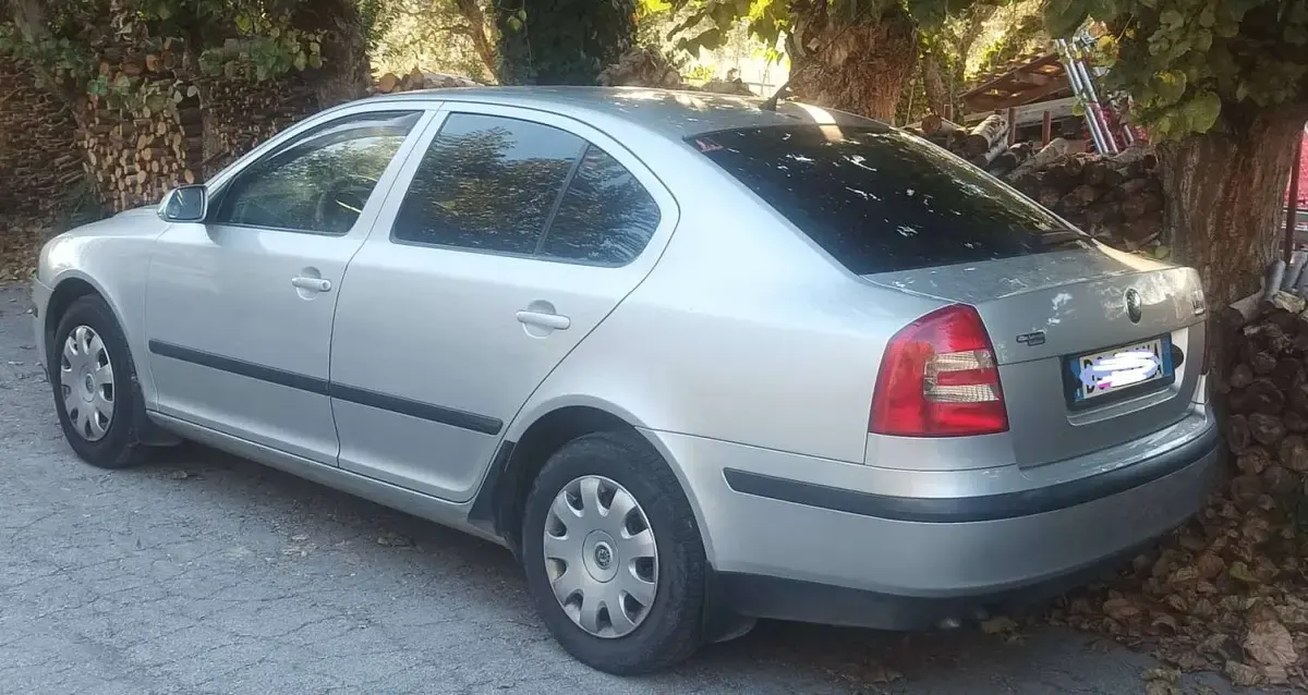 Usata Skoda Octavia Ambiente 105 CV (77 kW) 2006 Berlina