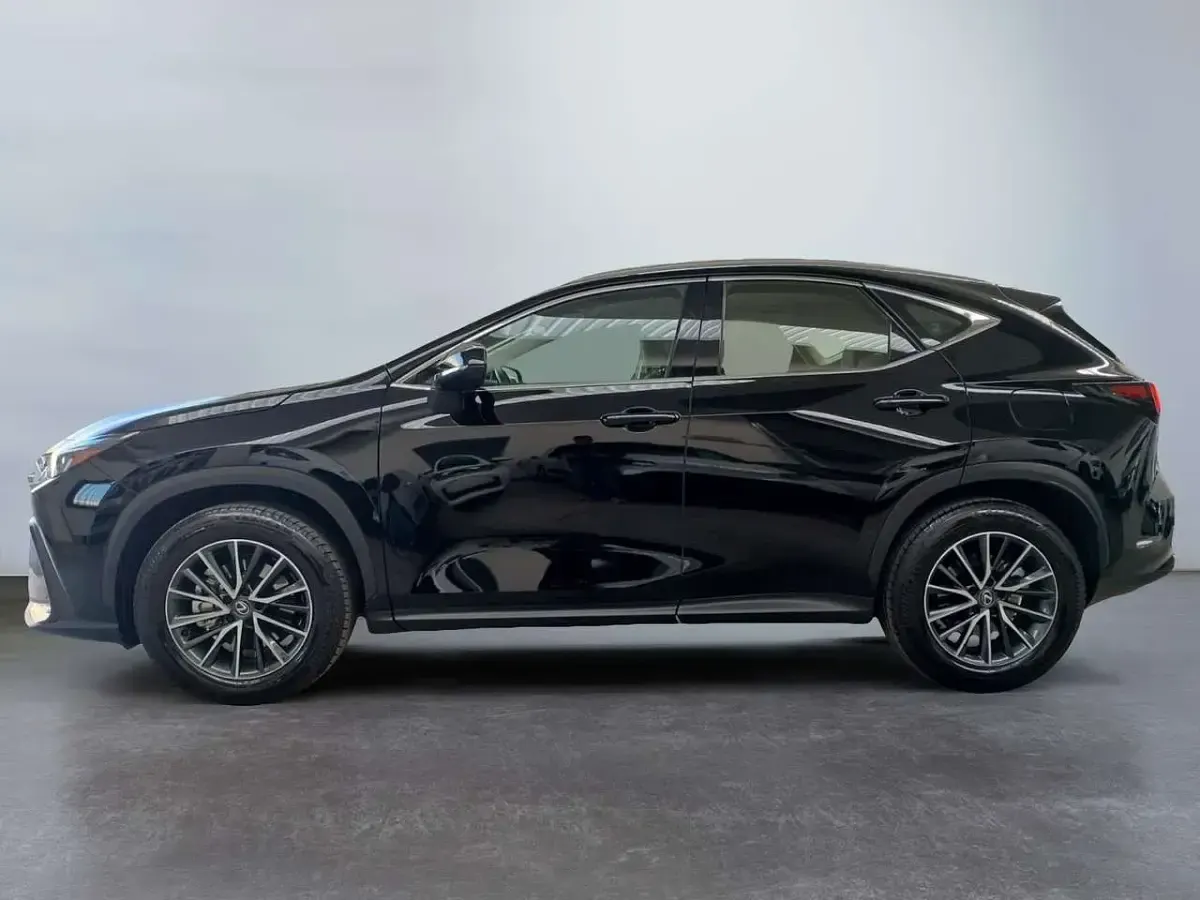 Usata Lexus NX300 Sport Line 309 CV (227 kW) 2024 Nero SUV