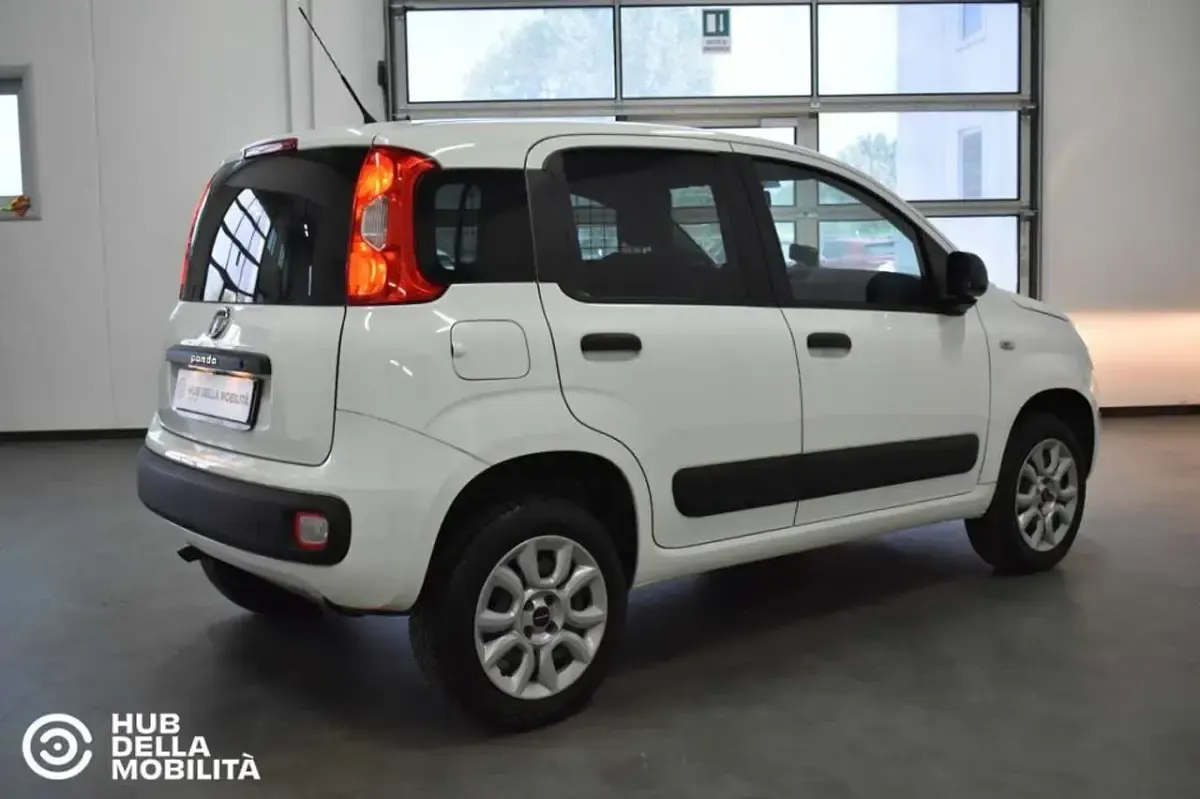 Usata Fiat Panda 4x4 Pop 84 CV (61 kW) 2019 Bianco Utilitaria