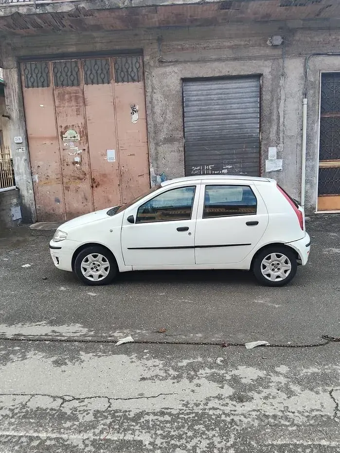 Usata Fiat Punto Dynamic 69 CV (50 kW) 2005 Bianco Utilitaria