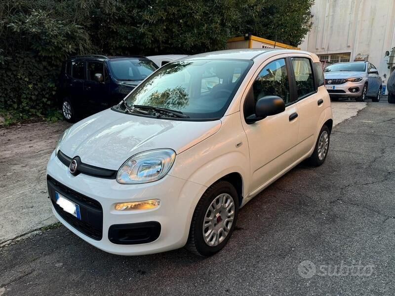Usata Fiat Panda Easy 69 CV (50 kW) 2020 Bianco Utilitaria
