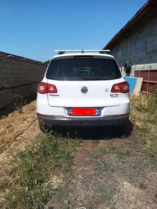Usata VW Tiguan 140 CV (102 kW) 2010 Bianco SUV