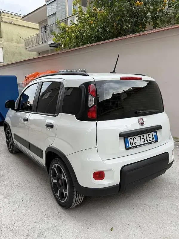 Usata Fiat Panda Pop 69 CV (50 kW) 2021 Utilitaria