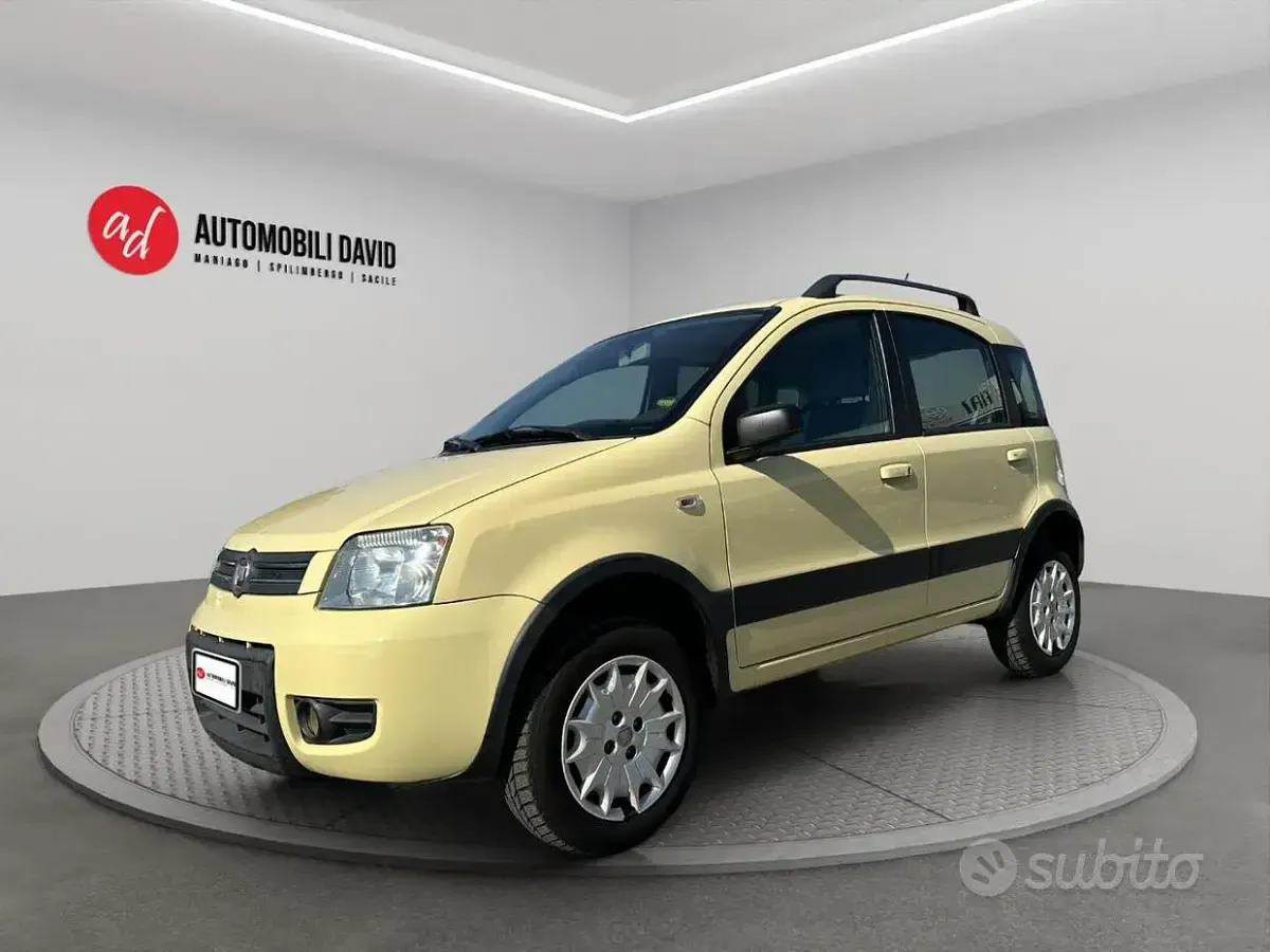 Usata Fiat Panda 4x4 60 CV (44 kW) 2009 Utilitaria