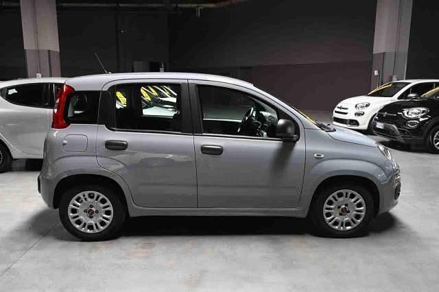 Usata Fiat Panda S 69 CV (50 kW) 2021 Grigio Utilitaria