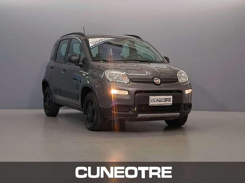 Usata Fiat Panda 4x4 S 84 CV (61 kW) 2020 Other Utilitaria