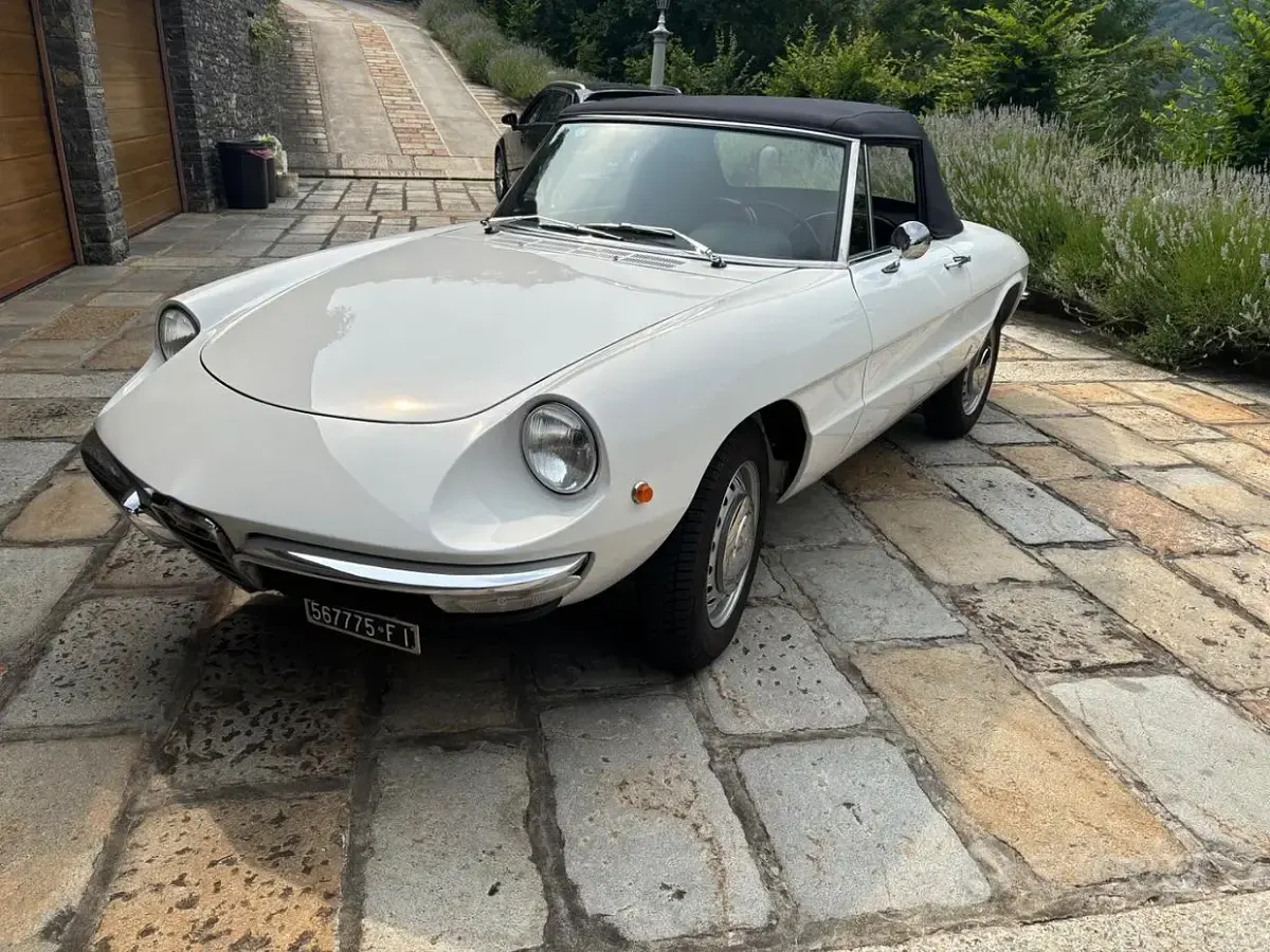 Usata Alfa Romeo Spider 1960 Bianco