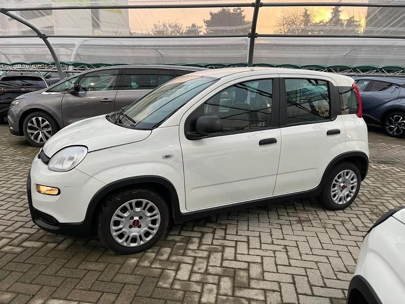 Usata Fiat Panda S 69 CV (50 kW) 2023 Bianco Utilitaria