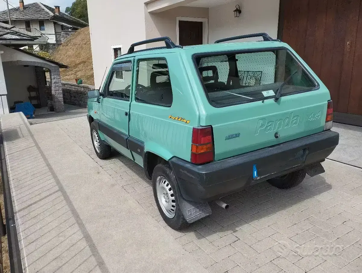 Usata Fiat Panda 4x4 Trekking 54 CV (39 kW) 1999 Utilitaria