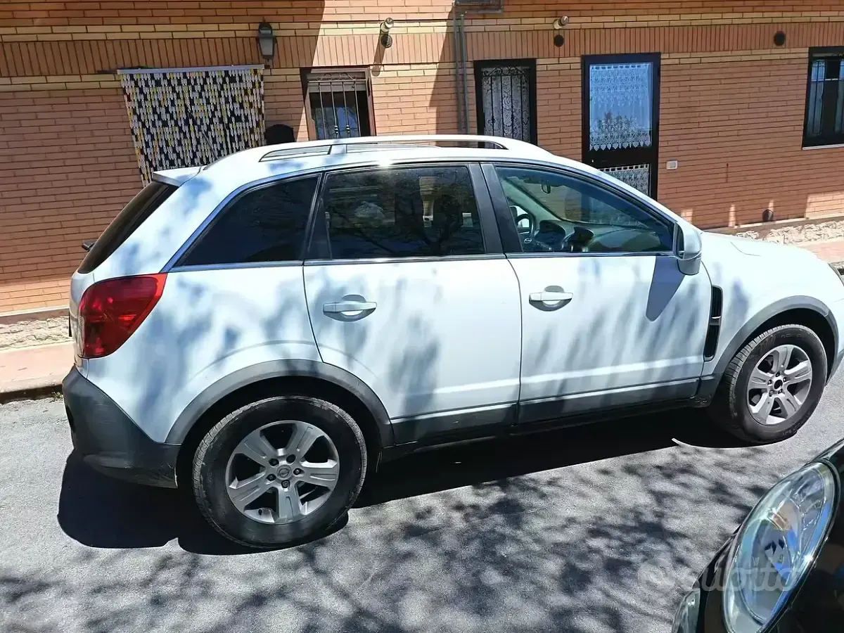 Usata Opel Antara Cosmo 163 CV (119 kW) 2014 Bianco SUV