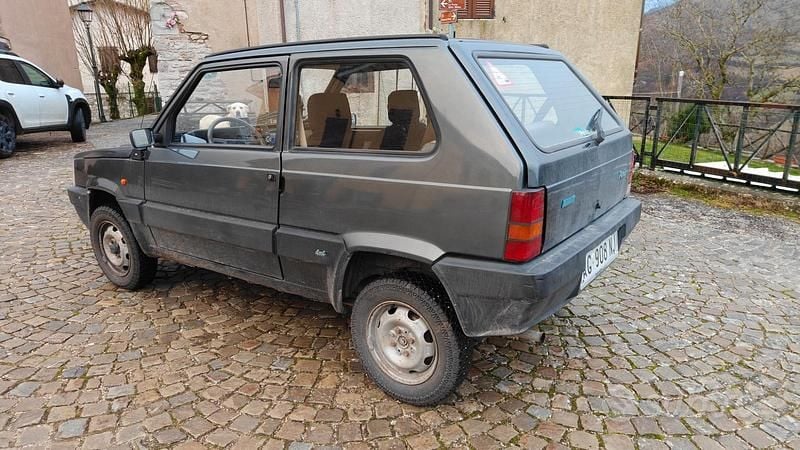 Usata Fiat Panda 4x4 Trekking 54 CV (39 kW) 1998 Utilitaria