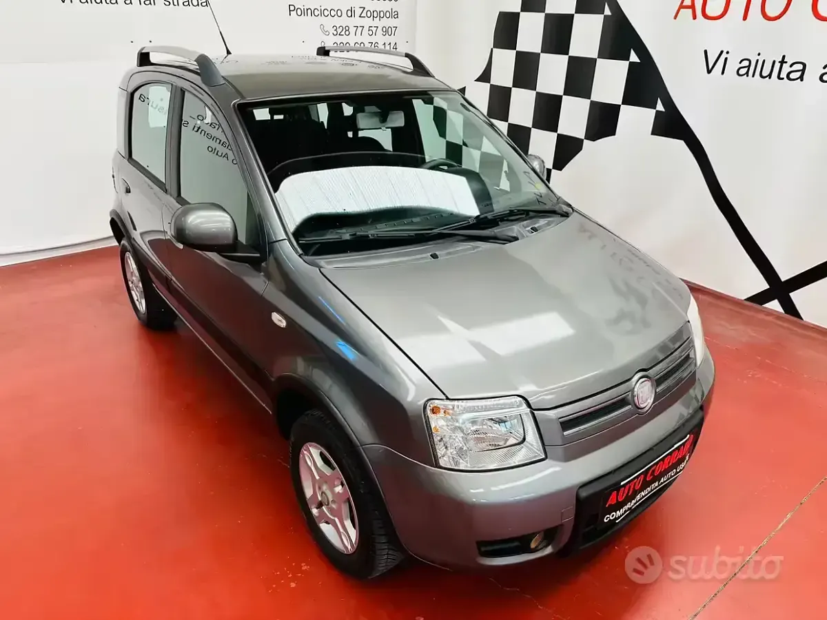 Usata Fiat Panda 4x4 60 CV (44 kW) 2010 Grigio Utilitaria