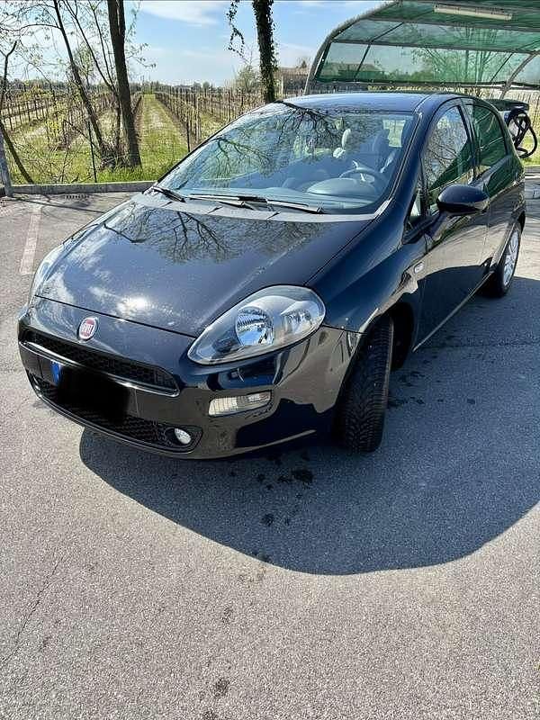 Usata Fiat Punto Lounge 69 CV (50 kW) 2016 Utilitaria