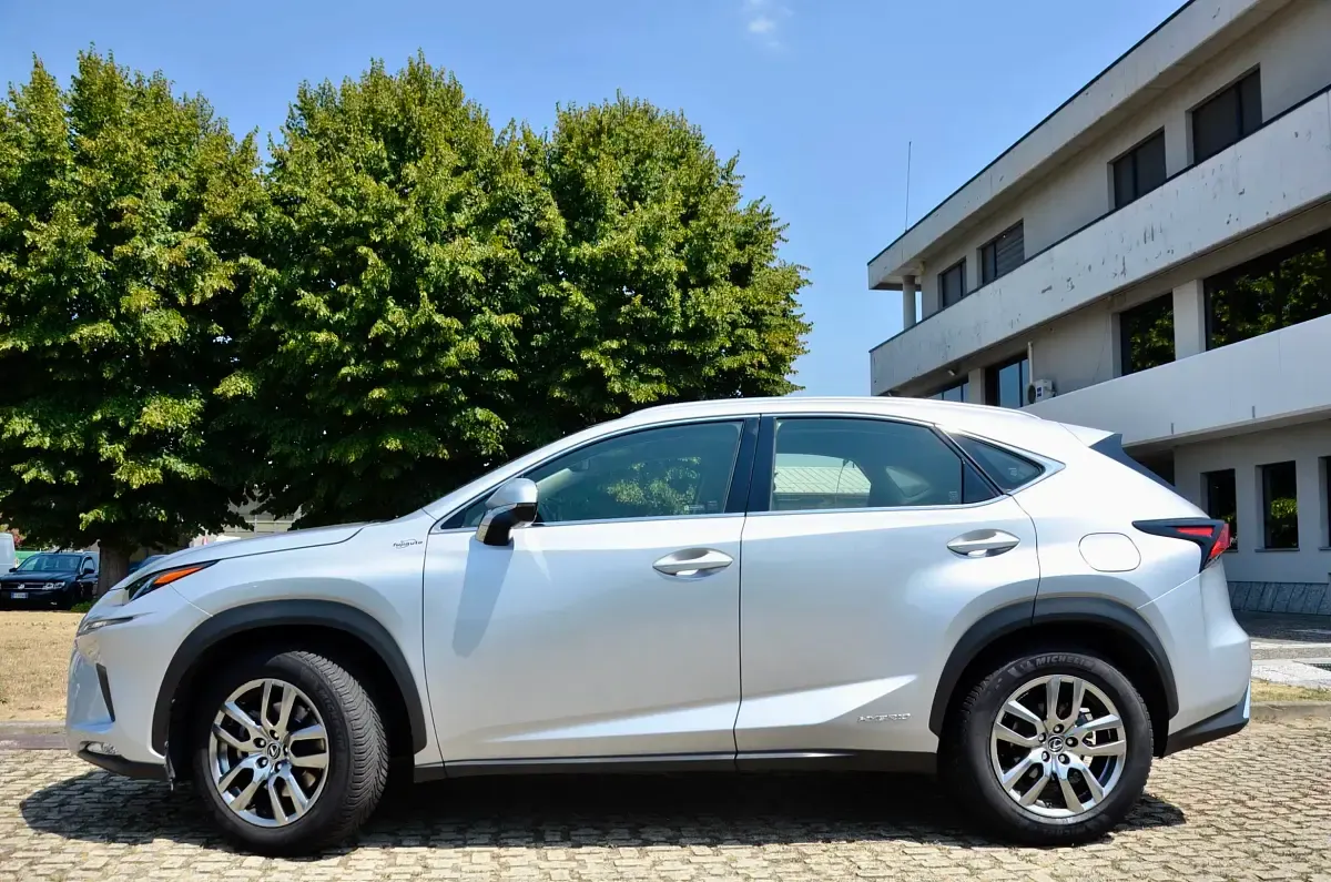 Usata Lexus NX300h Business Edition 197 CV (144 kW) 2019 SUV