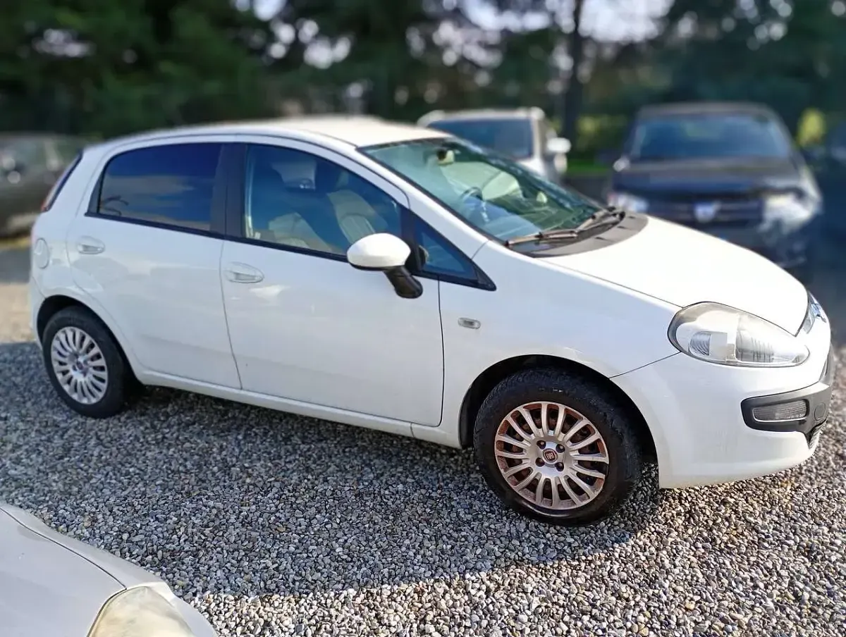 Usata Fiat Punto Evo Dynamic 75 CV (55 kW) 2011 Bianco Utilitaria
