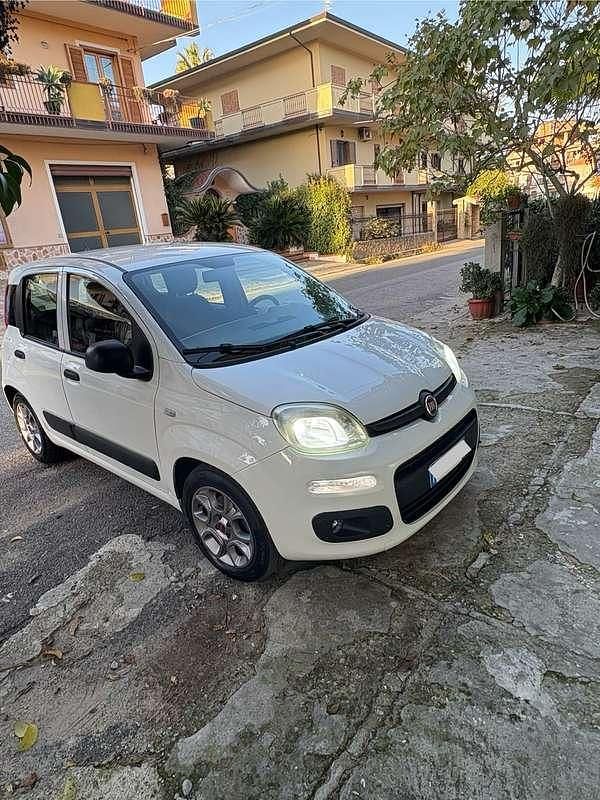 Usata Fiat Panda Young 75 CV (55 kW) 2016 Utilitaria