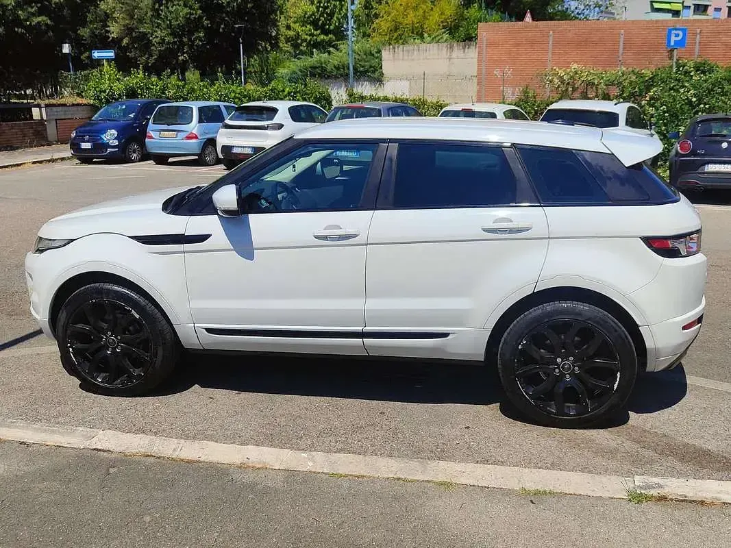 Usata Land Rover Range Rover evoque Dynamic 150 CV (110 kW) 2013 Bianco SUV