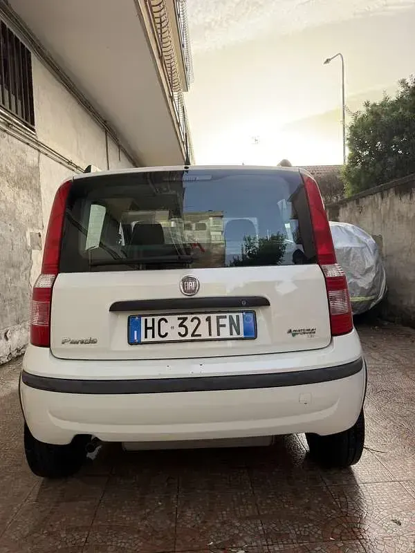 Usata Fiat Panda Dynamic 60 CV (44 kW) 2010 Bianco Utilitaria