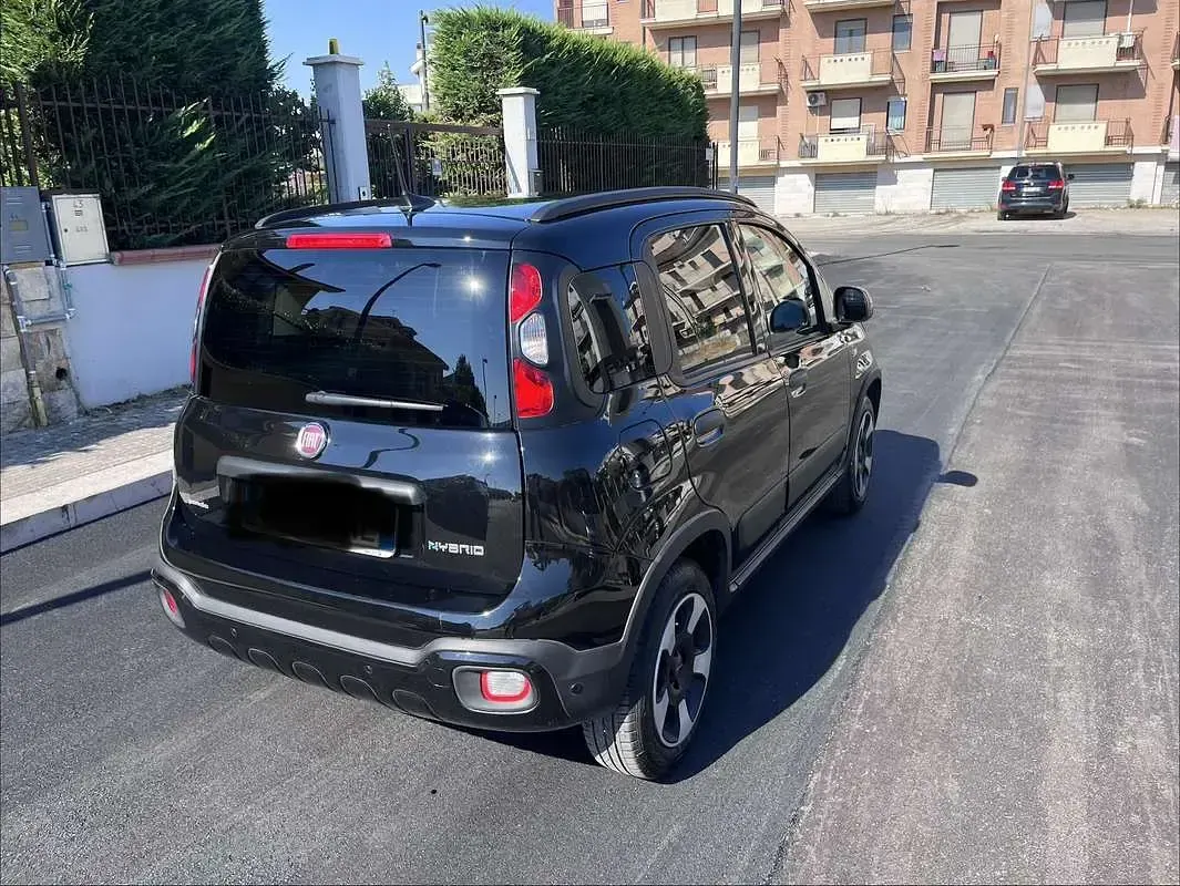 Usata Fiat Panda Cross Cross 80 CV (58 kW) 2023 Utilitaria