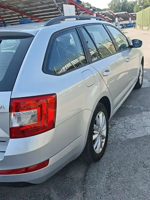 Usata Skoda Octavia G-TEC Executive 110 CV (80 kW) 2016 Grigio Station wagon