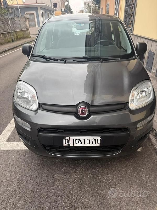 Usata Fiat Panda Easy 69 CV (50 kW) 2019 Grigio Utilitaria