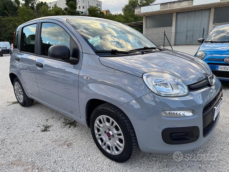 Usata Fiat Panda Easy 69 CV (50 kW) 2020 Grigio Utilitaria