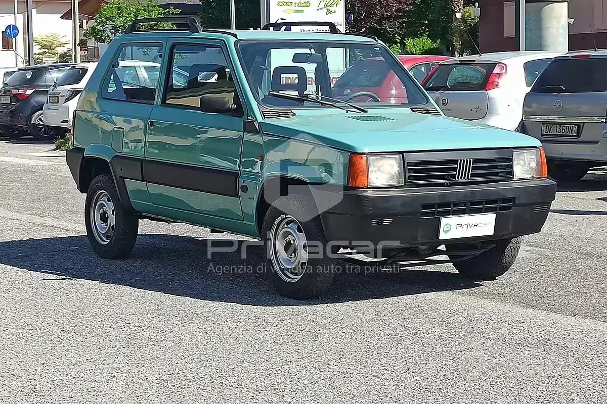 Usata Fiat Panda 4x4 Trekking 54 CV (39 kW) 2003 Verde Utilitaria