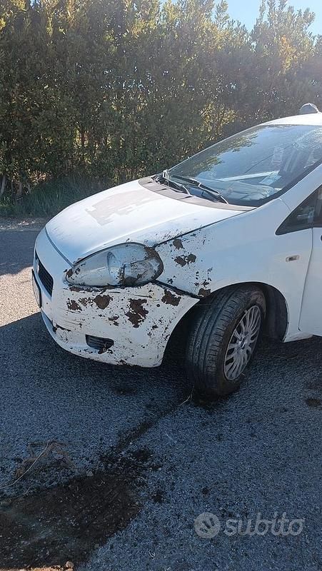 Usata Fiat Grande Punto 75 CV (55 kW) 2011 Bianco Utilitaria