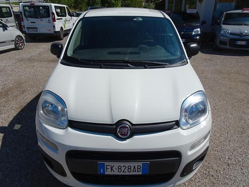 Usata Fiat Panda 4x4 Pop 80 CV (58 kW) 2017 Bianco Utilitaria