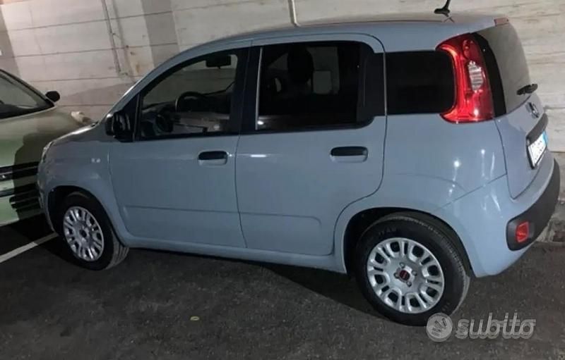 Usata Fiat Panda Easy 69 CV (50 kW) 2020 Utilitaria