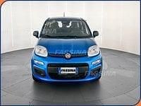 Nuova Fiat Panda Icon 69 CV (50 kW) 2025 Blu Utilitaria