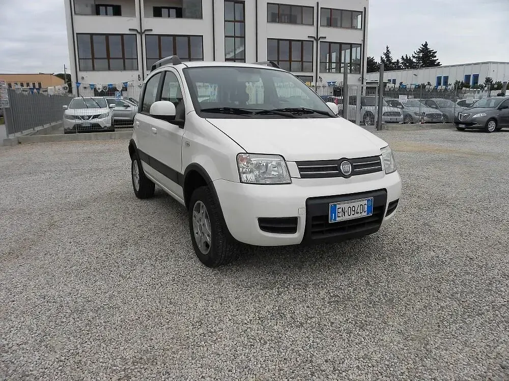 Usata Fiat Panda 4x4 Climbing 75 CV (55 kW) 2012 Bianco Utilitaria