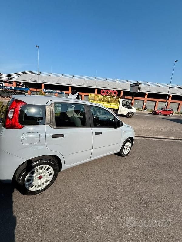 Usata Fiat Panda Easy 69 CV (50 kW) 2018 Utilitaria