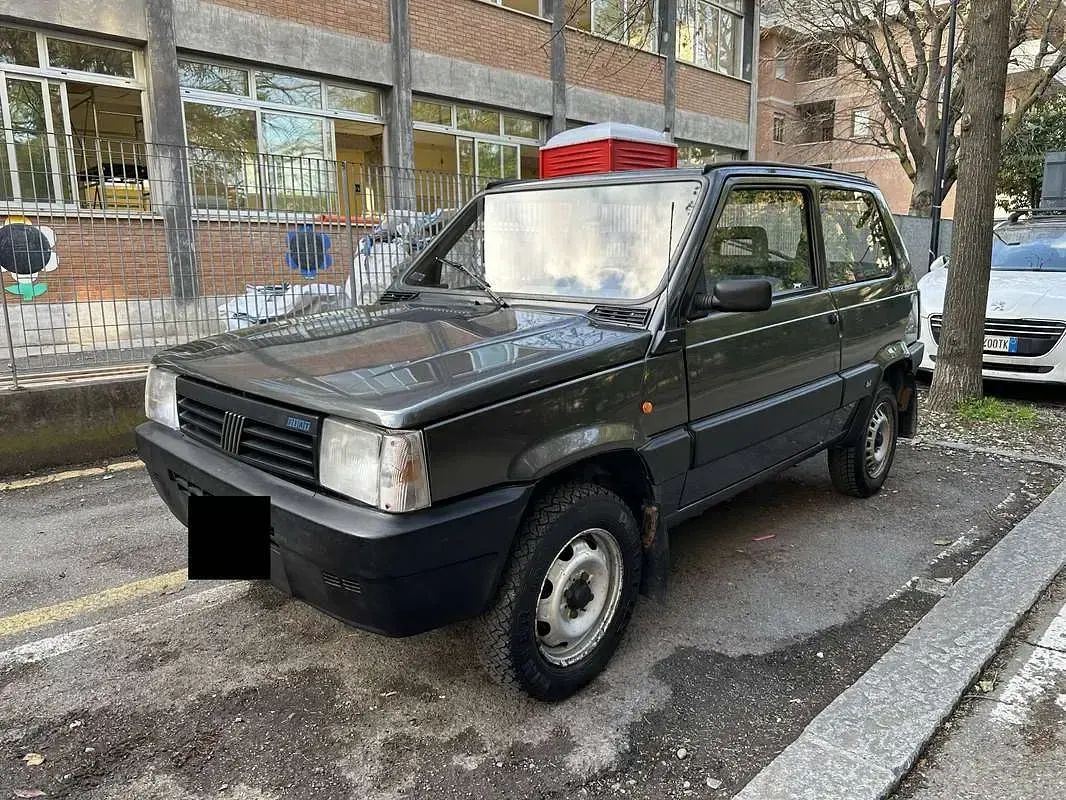 Usata Fiat Panda 4x4 Trekking 54 CV (39 kW) 1996 Grigio Utilitaria