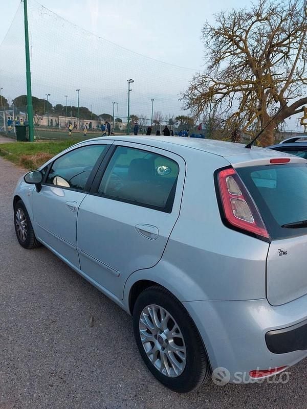 Usata Fiat Punto Evo 2011 Bianco Utilitaria