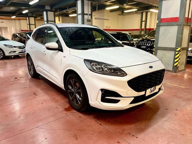 Usata Ford Kuga ST-Line X 190 CV (139 kW) 2022 Bianco SUV