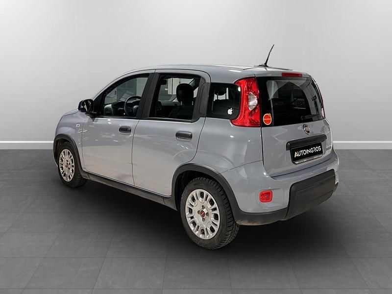 Usata Fiat Panda S 70 CV (51 kW) 2023 Grigio Utilitaria