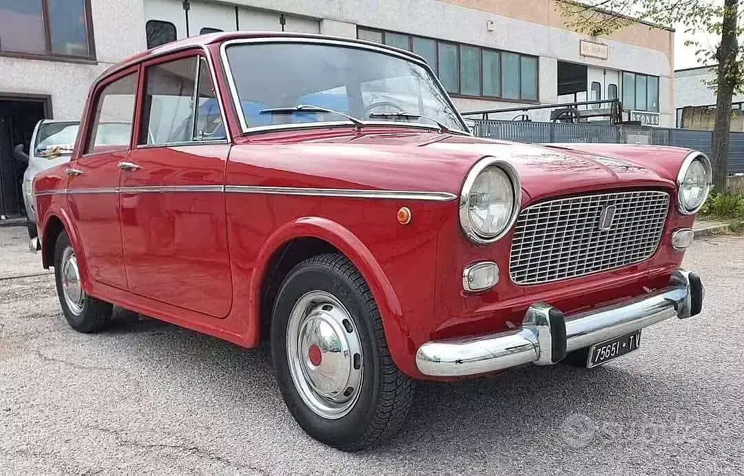 Usata Fiat 1100D 47 CV (34 kW) 1960 Rosso Berlina